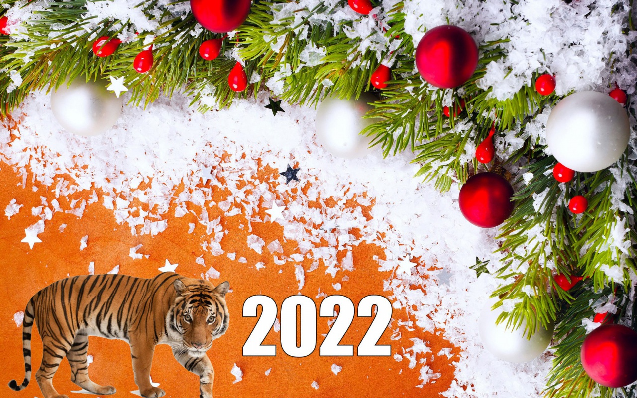 НГ 2022 тигр.jpg